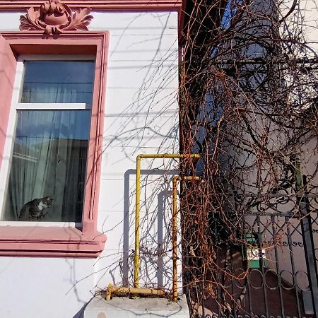 Casa Liveni Lejlighed Bukarest Eksteriør billede